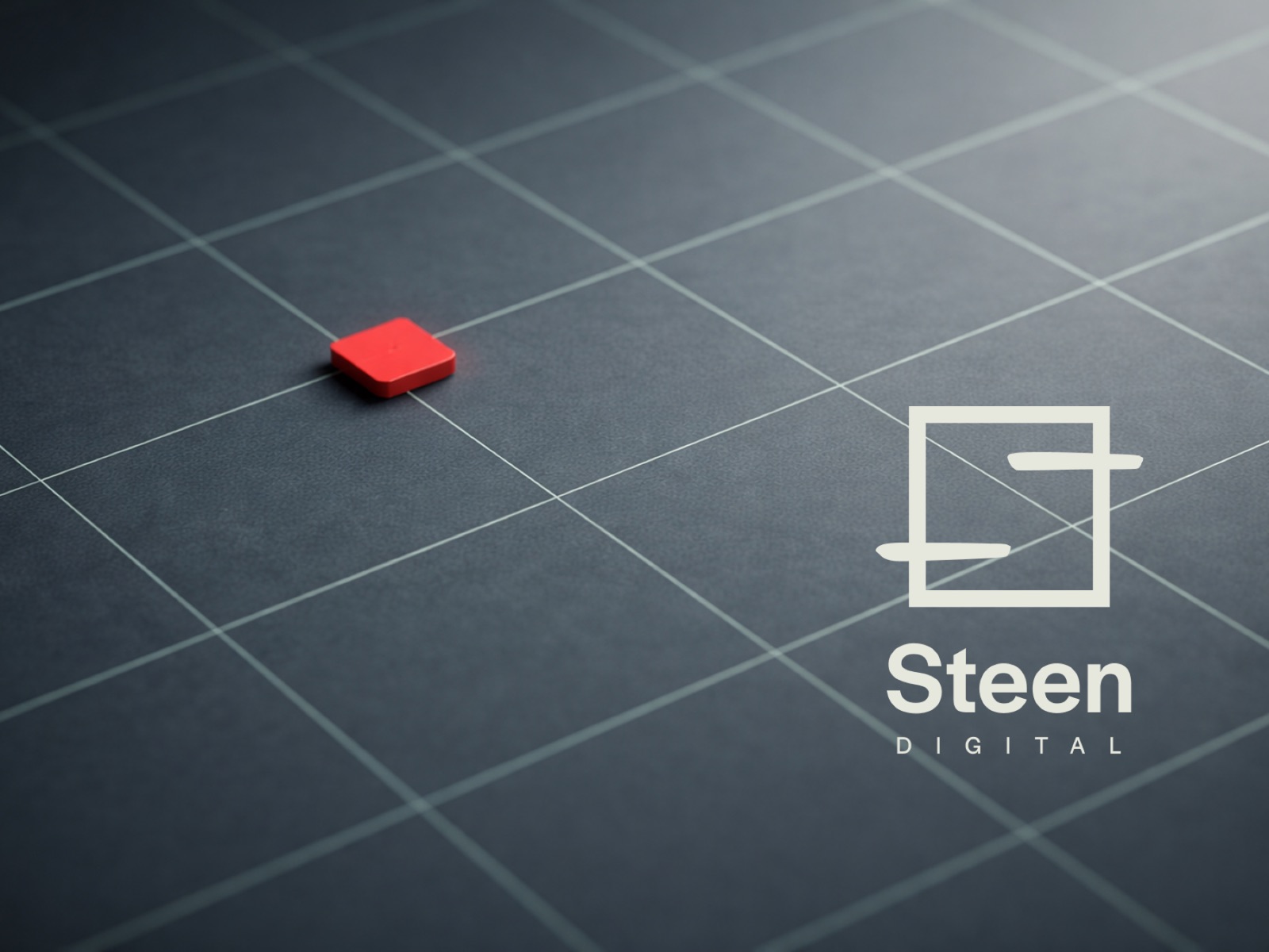 Steen Digital brand sprint case study hero visual